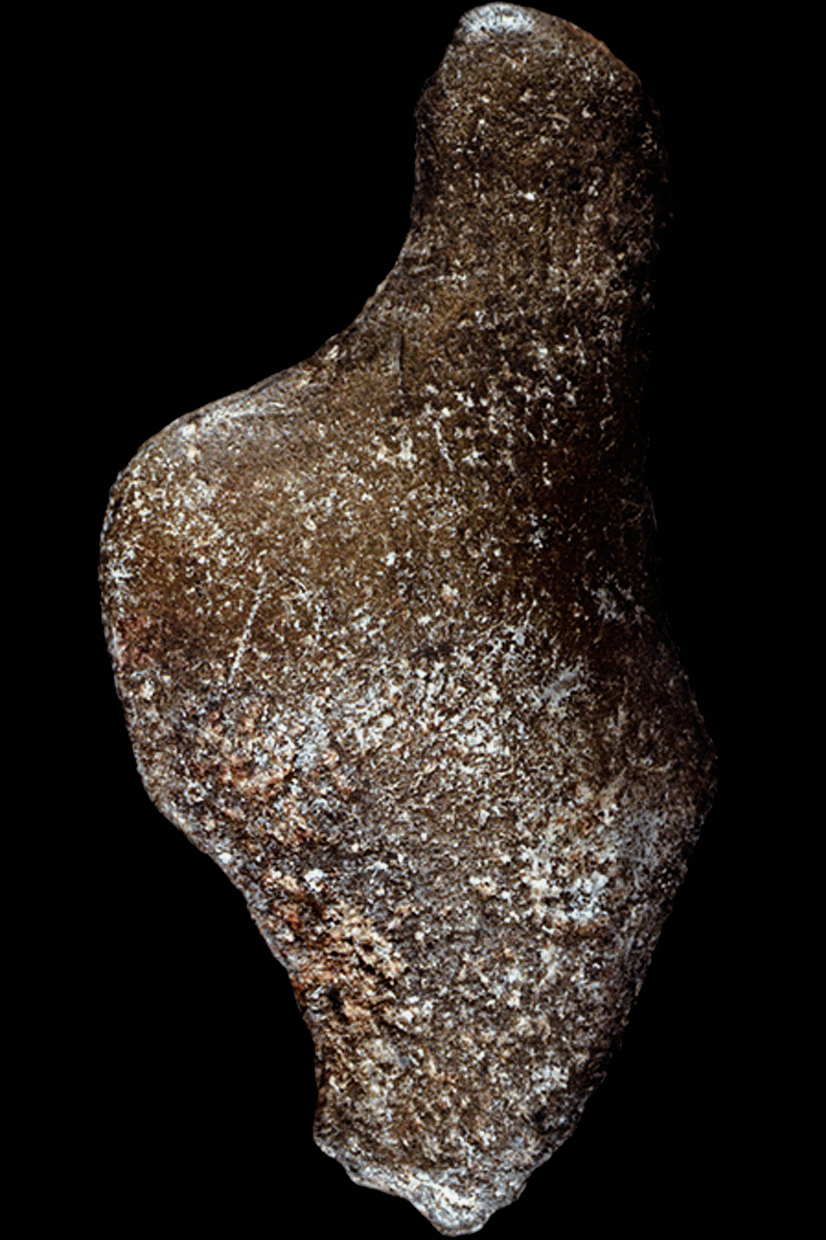 Female Figure Sculptures of the Ice Age