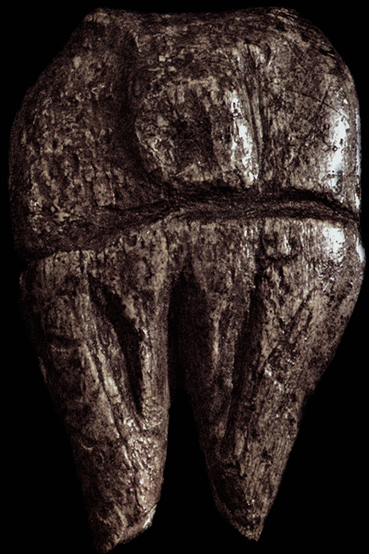 Dolní Vestonice Female Figurine V Sculptures of the Ice Age