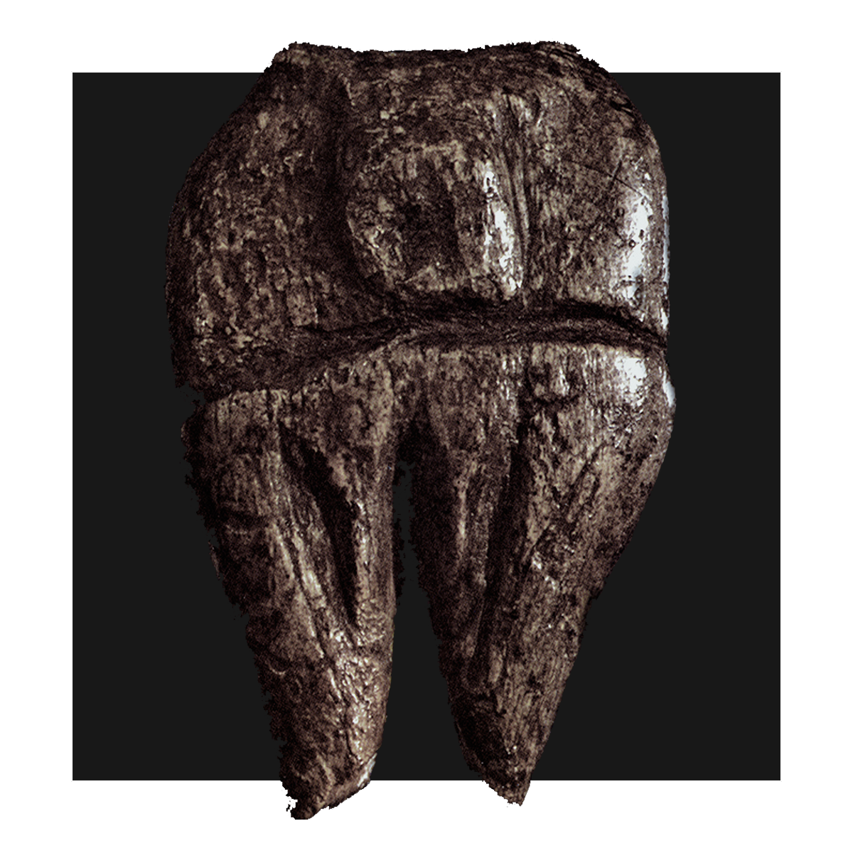 Bradshaw Foundation Ice Age Sculpture Archaeology Prehistory Sculptures