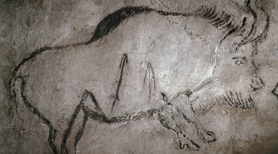 Bradshaw Foundation Prints