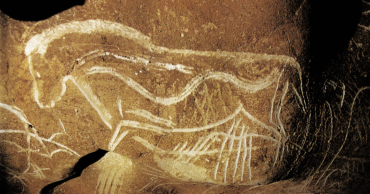 Large Horse Panel The Cave Art Paintings Of Chauvet. 