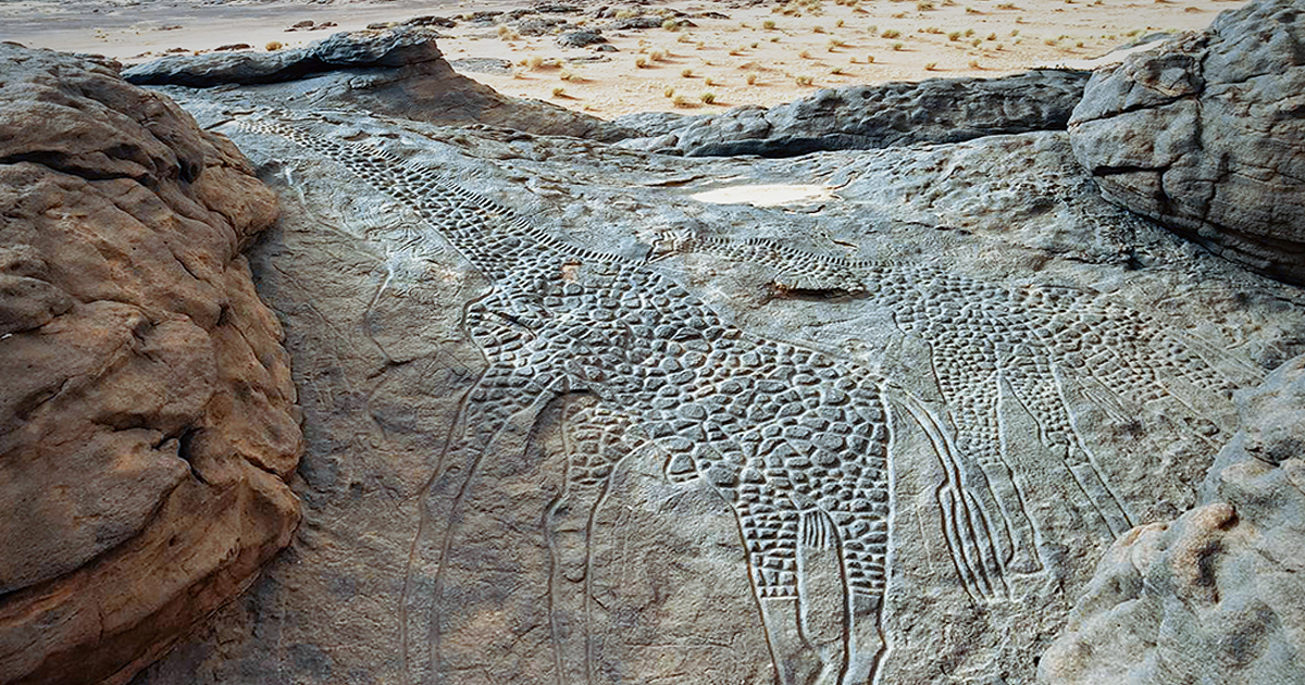 The World's Largest Rock Art Petroglyph - Dabous Giraffe Carvings in
