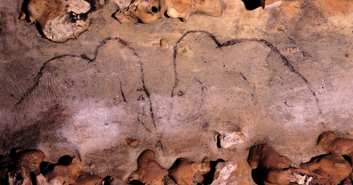 Rouffignac Cave The Cave of the Hundred Mammoths