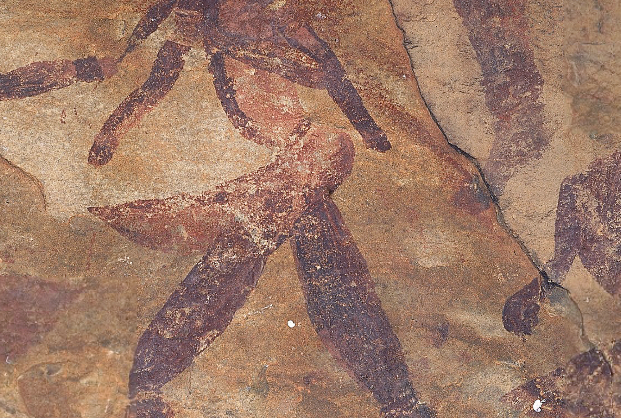 San Painting Eastern Cape South Africa Rock Art Research Institute RARI