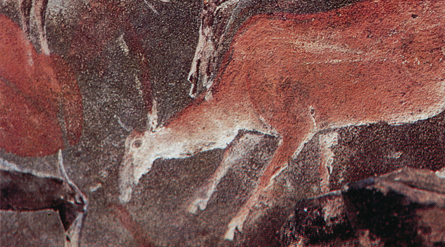 Animals in Rock Art Aron Mazel Lecturer Newcastle University