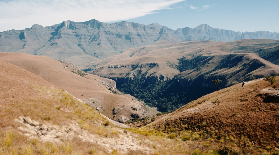 Reflecting Back 40 Years Since A Survey of the Rock Art in the Natal Drakensberg Project (1978-1981)