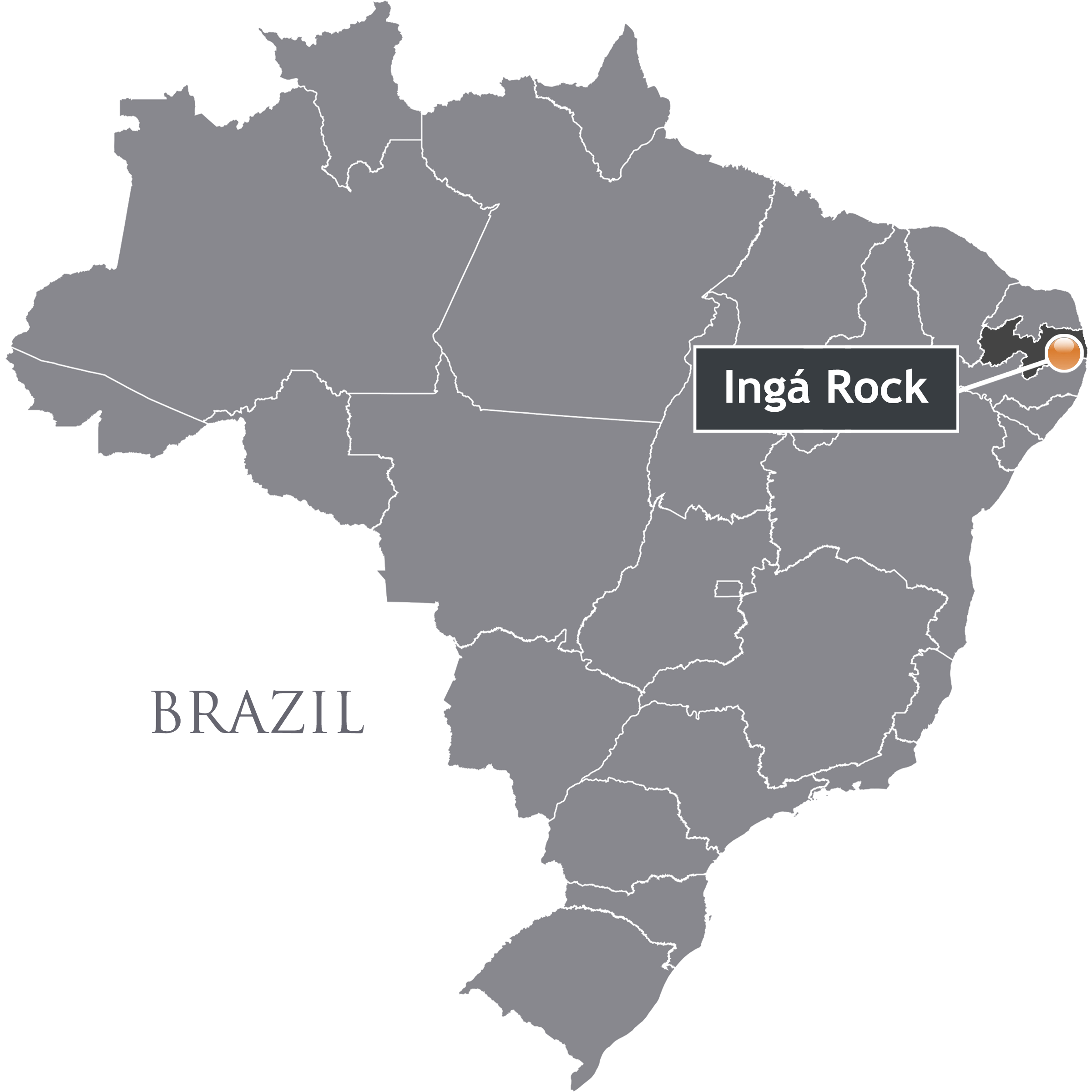 Ingá Itacoatiaras Rock Art Petroglyph Petroglyphs Brazil South America Archaeology