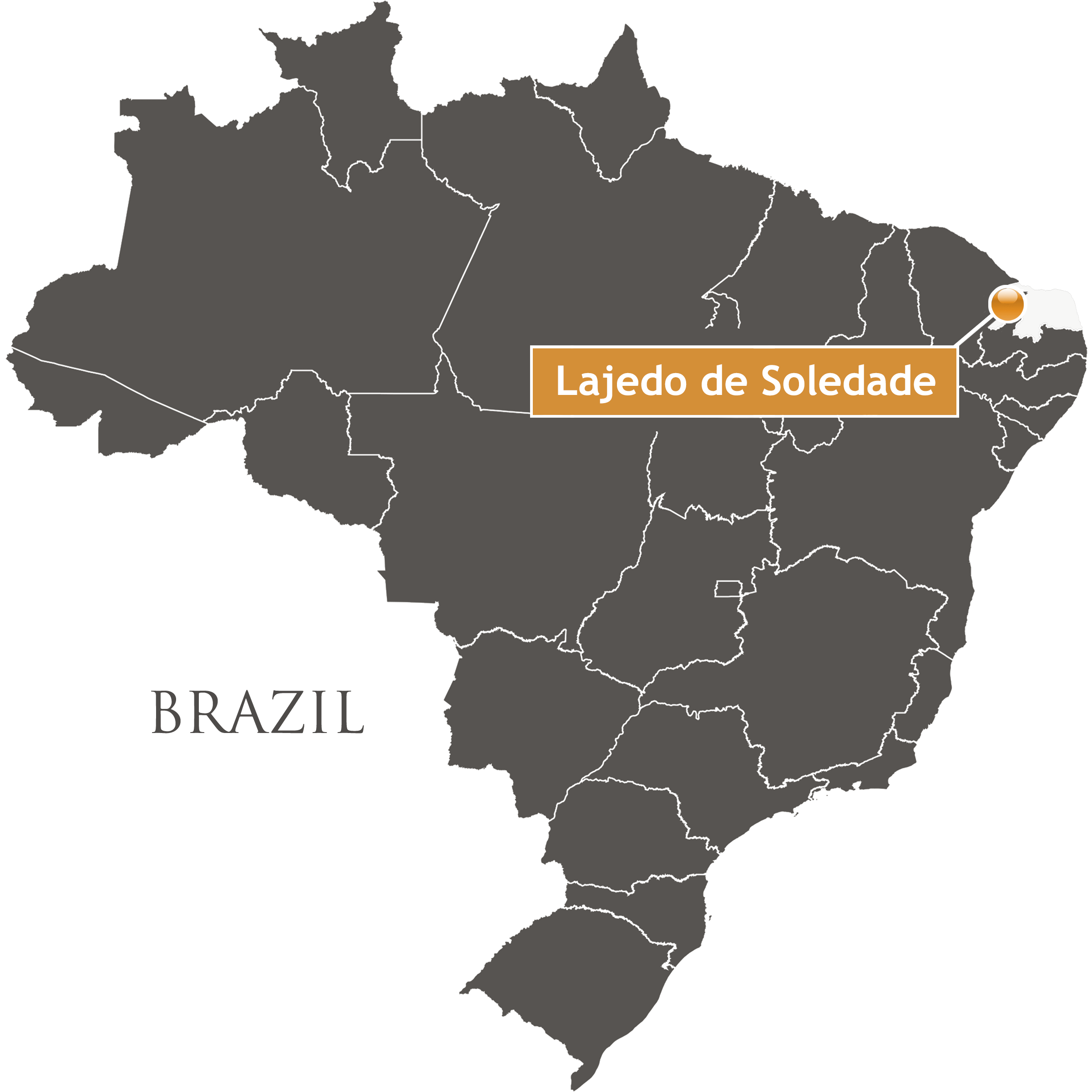 Ingá Itacoatiaras Rock Art Petroglyph Petroglyphs Brazil South America Archaeology