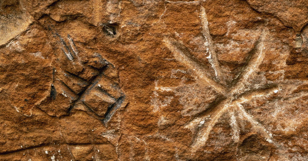 Bradshaw Foundation Twitter