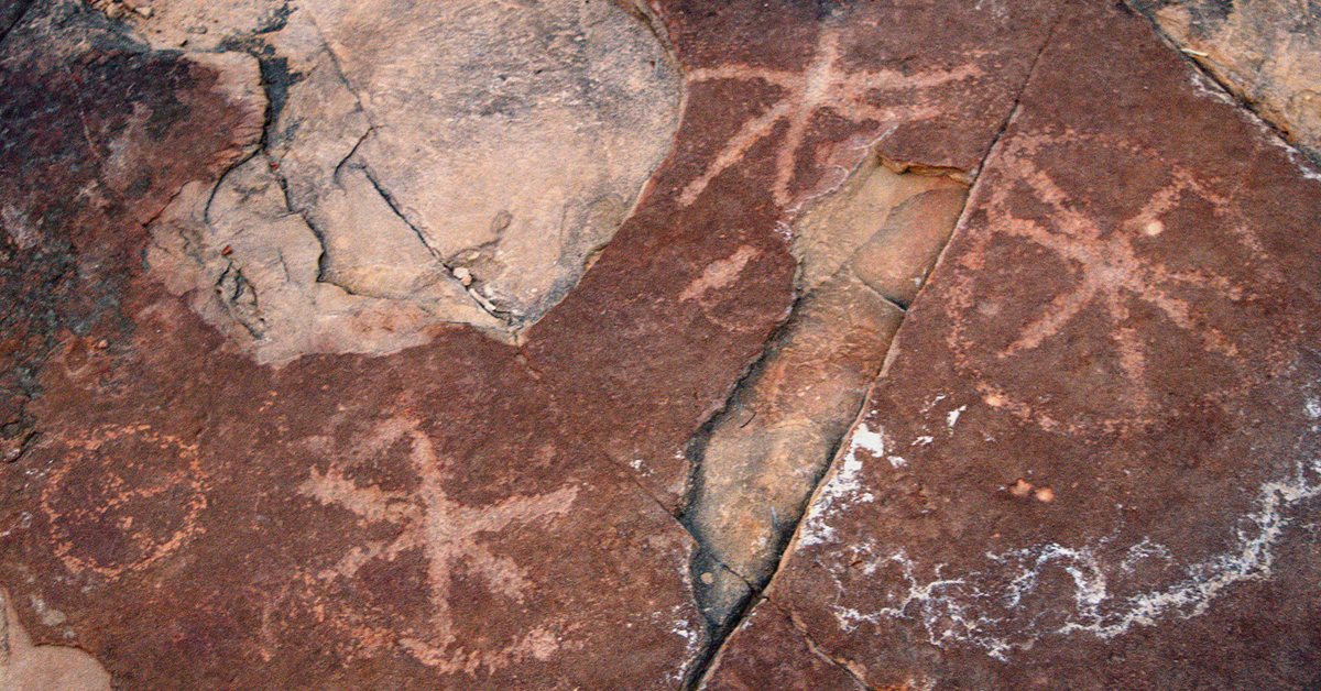 Bradshaw Foundation Twitter