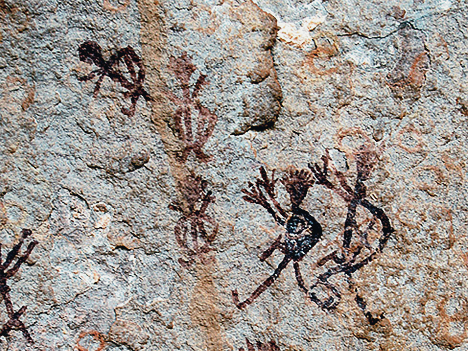 Rock Art Serra da Capivara National Park Brazil Pedra Furada Archaeology World Heritage Site