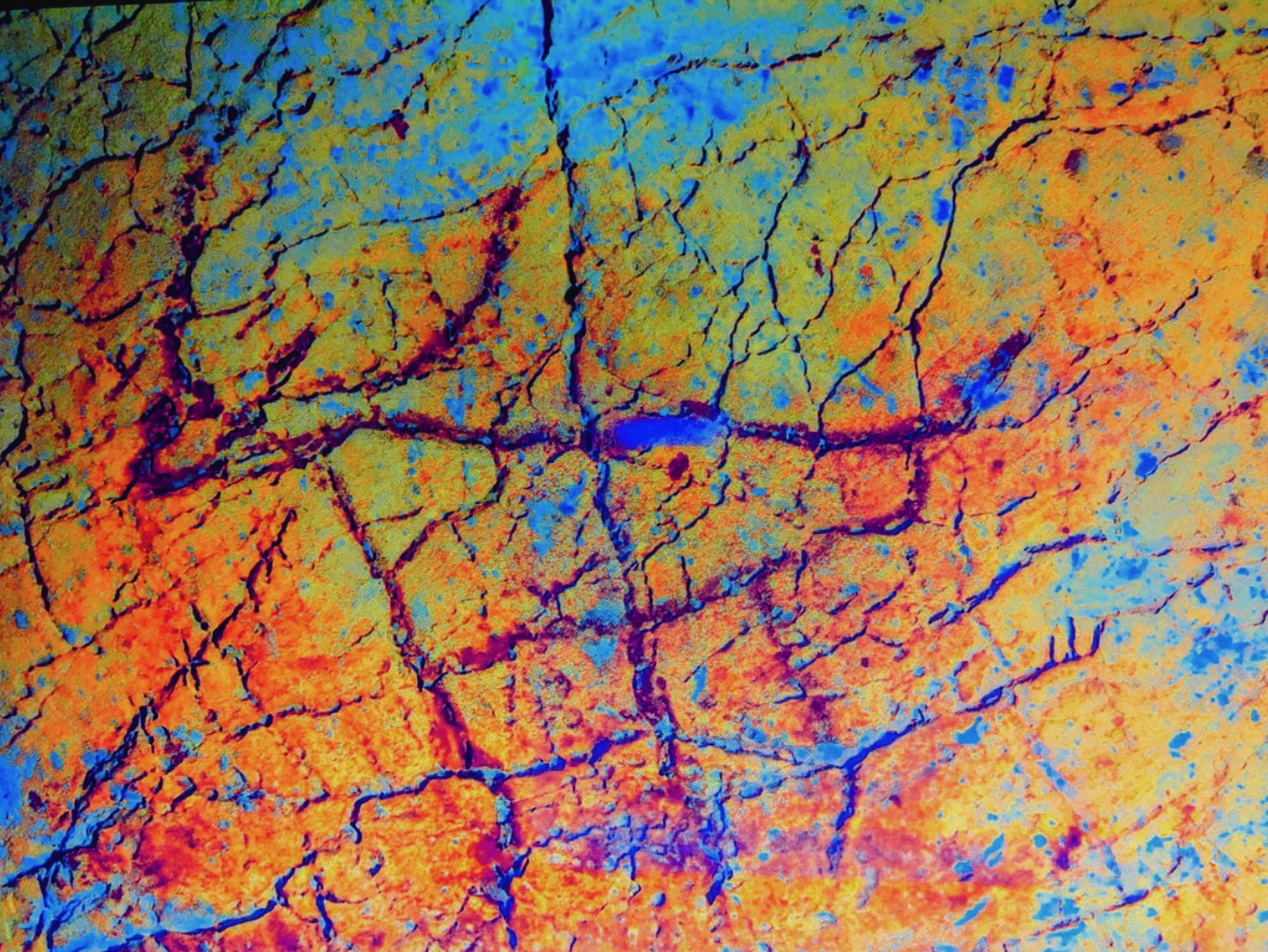 Ancient Rock Art Exploring Andalucia Painted Caves Spain painted cervid chamber within the deep recesses of the cave