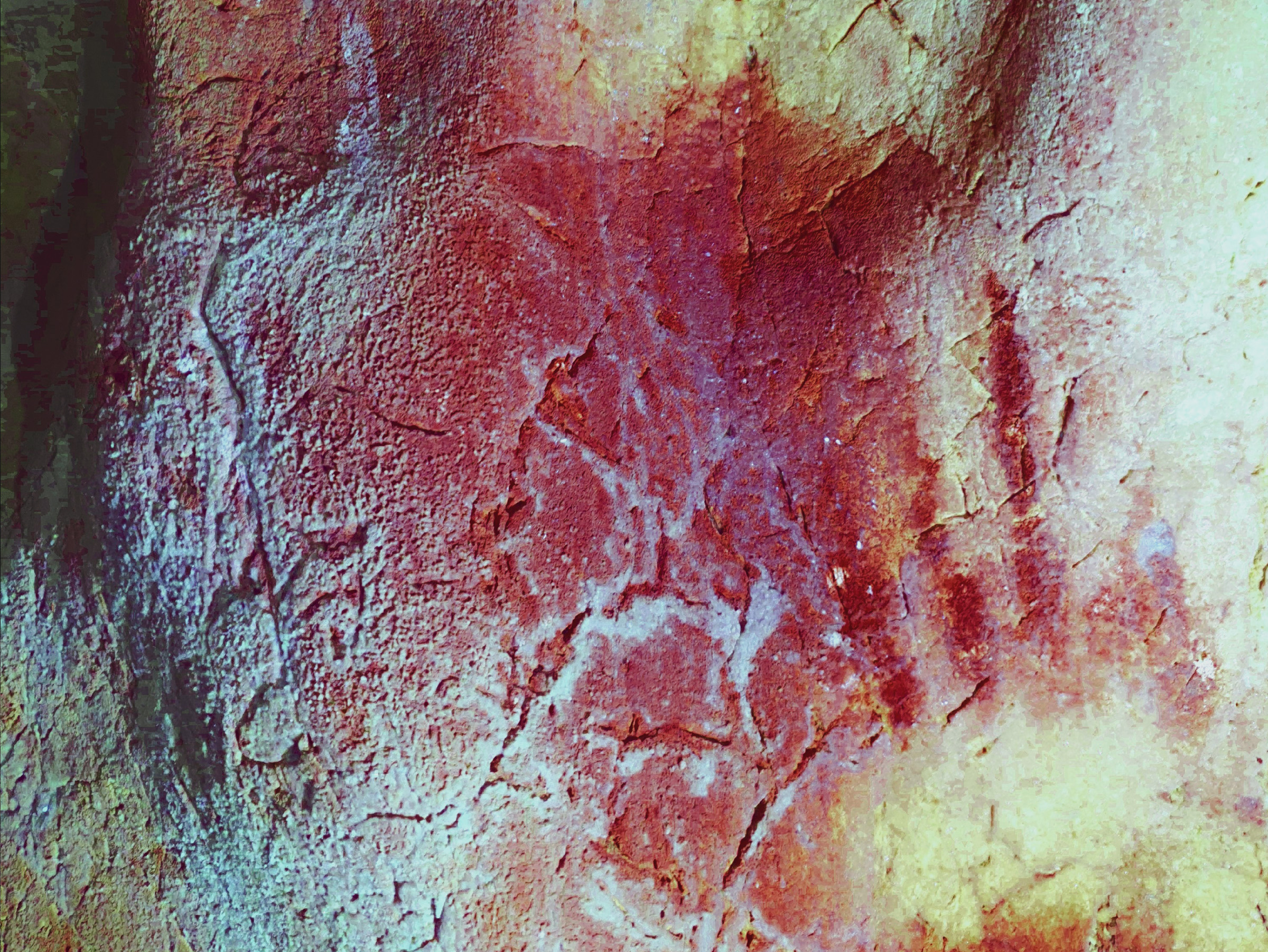 Ancient Rock Art Exploring Andalucia Painted Caves Spain Early Upper Palaeolithic handprint
