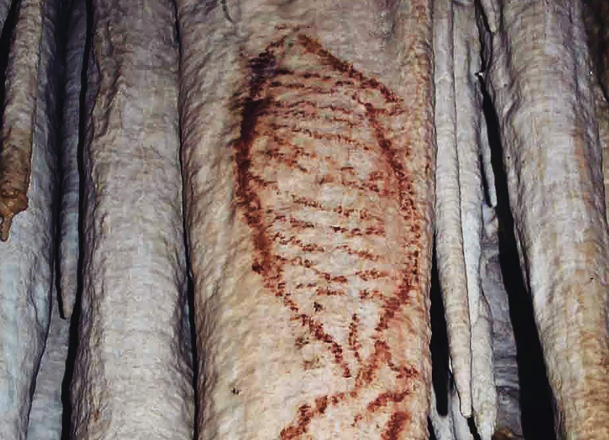 Ancient Rock Art Exploring Andalucia Painted Caves Spain The Mediterranean seal panel