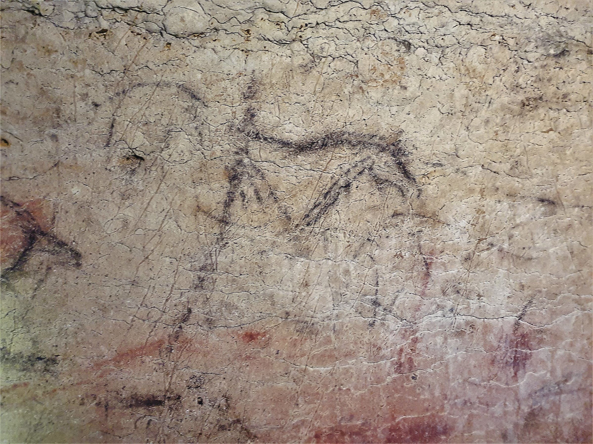 Ancient Rock Art Exploring Andalucia Painted Caves Spain A horse with surrounding fauna
