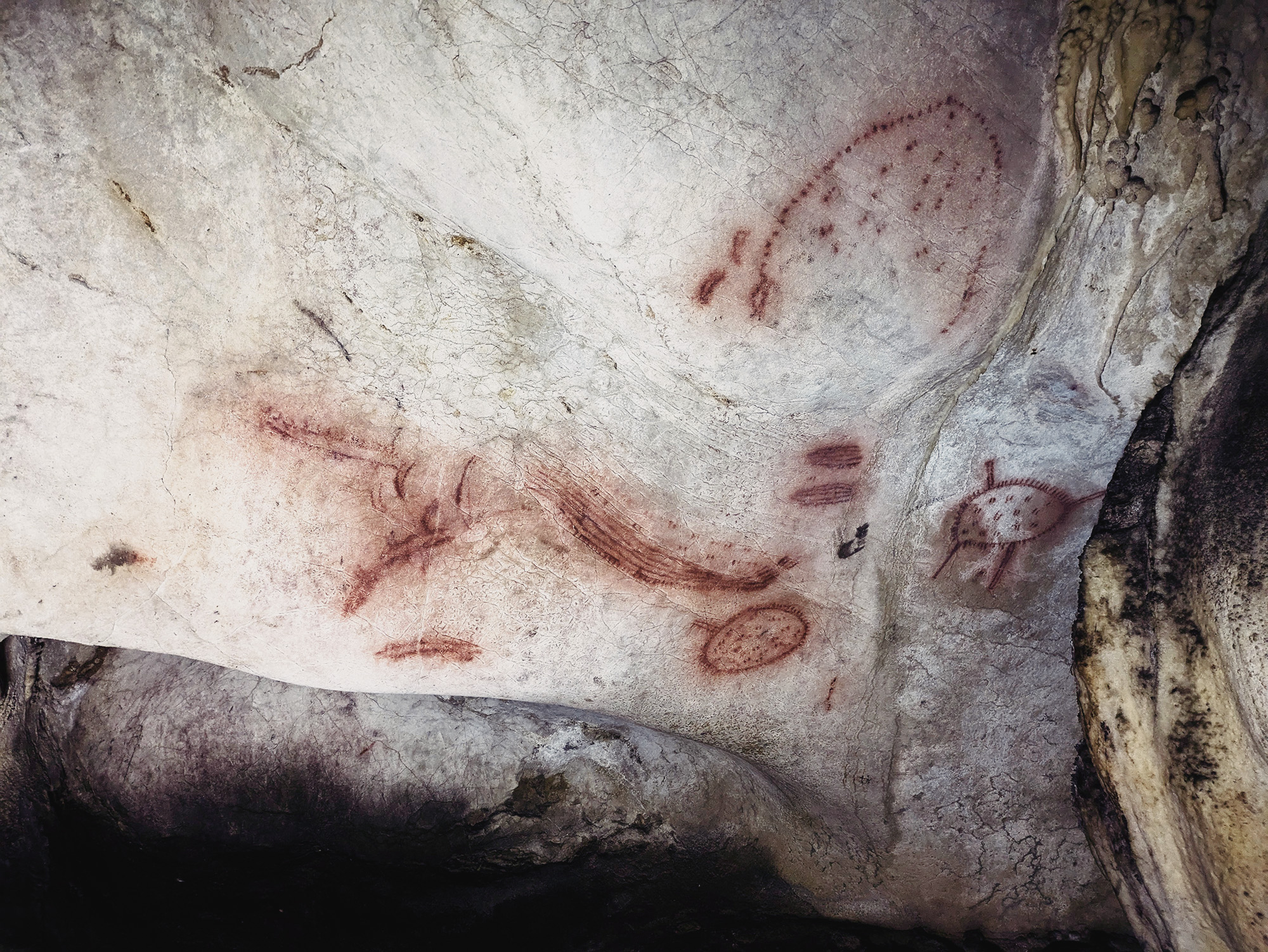 A selection of herding corrals within the Level 2 area, clearly showing timber-posted enclosures with connected funnelled entrances. These features probably represent a different economic aspect to Upper Palaeolithic Europe.  The herding corral with the yellow painted cervid (centre) is on a stepped slope leading to Level 3