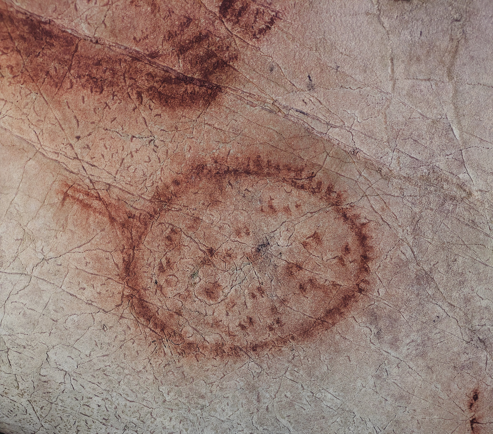 A selection of corrals within the Level 2 area, clearly show timber-posted enclosures with connected funnels, probably showing a different economic aspect to Upper Palaeolithic Europe.  The corral with the yellow painted cervid (centre) is on a stepped slope leading to Level 3