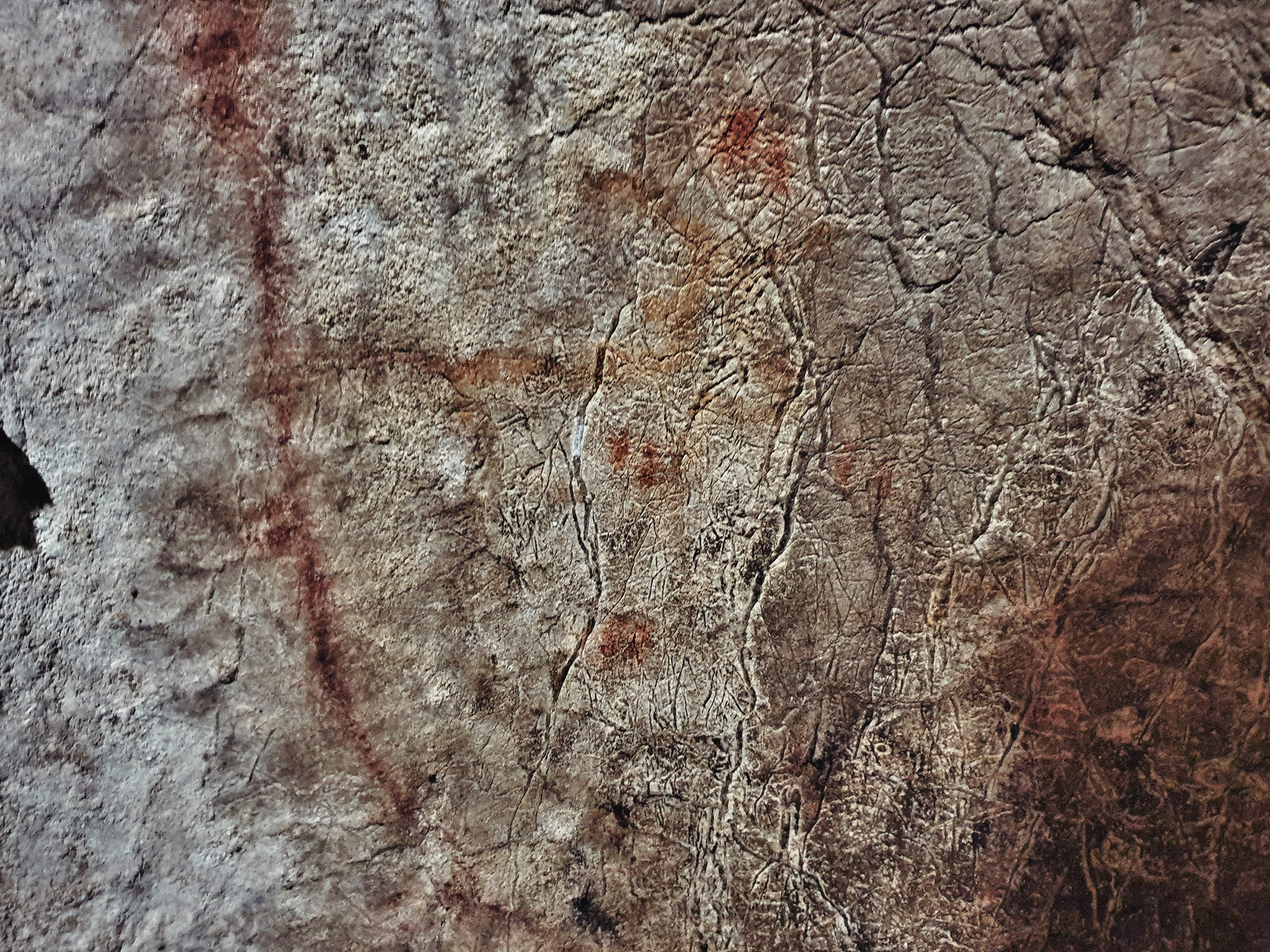 A selection of corrals within the Level 2 area, clearly show timber-posted enclosures with connected funnels, probably showing a different economic aspect to Upper Palaeolithic Europe.  The corral with the yellow painted cervid (centre) is on a stepped slope leading to Level 3