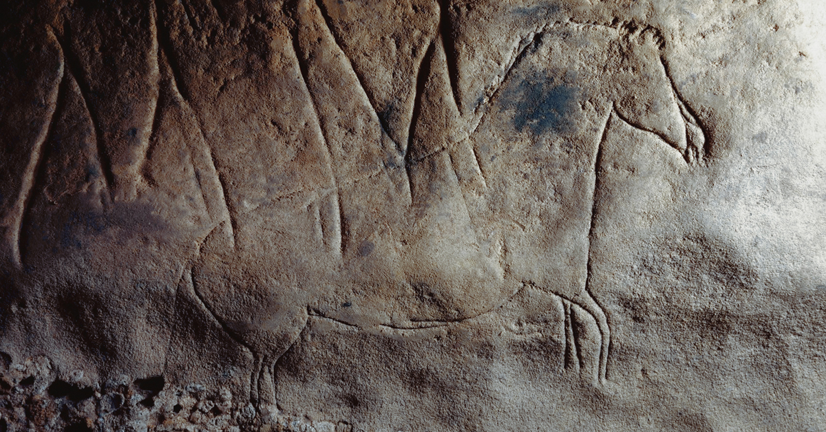 Bradshaw Foundation Facebook