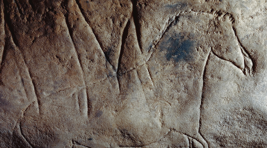 Font Major Cave Cova de la Font Major Carvings Discovered in Northern Spain