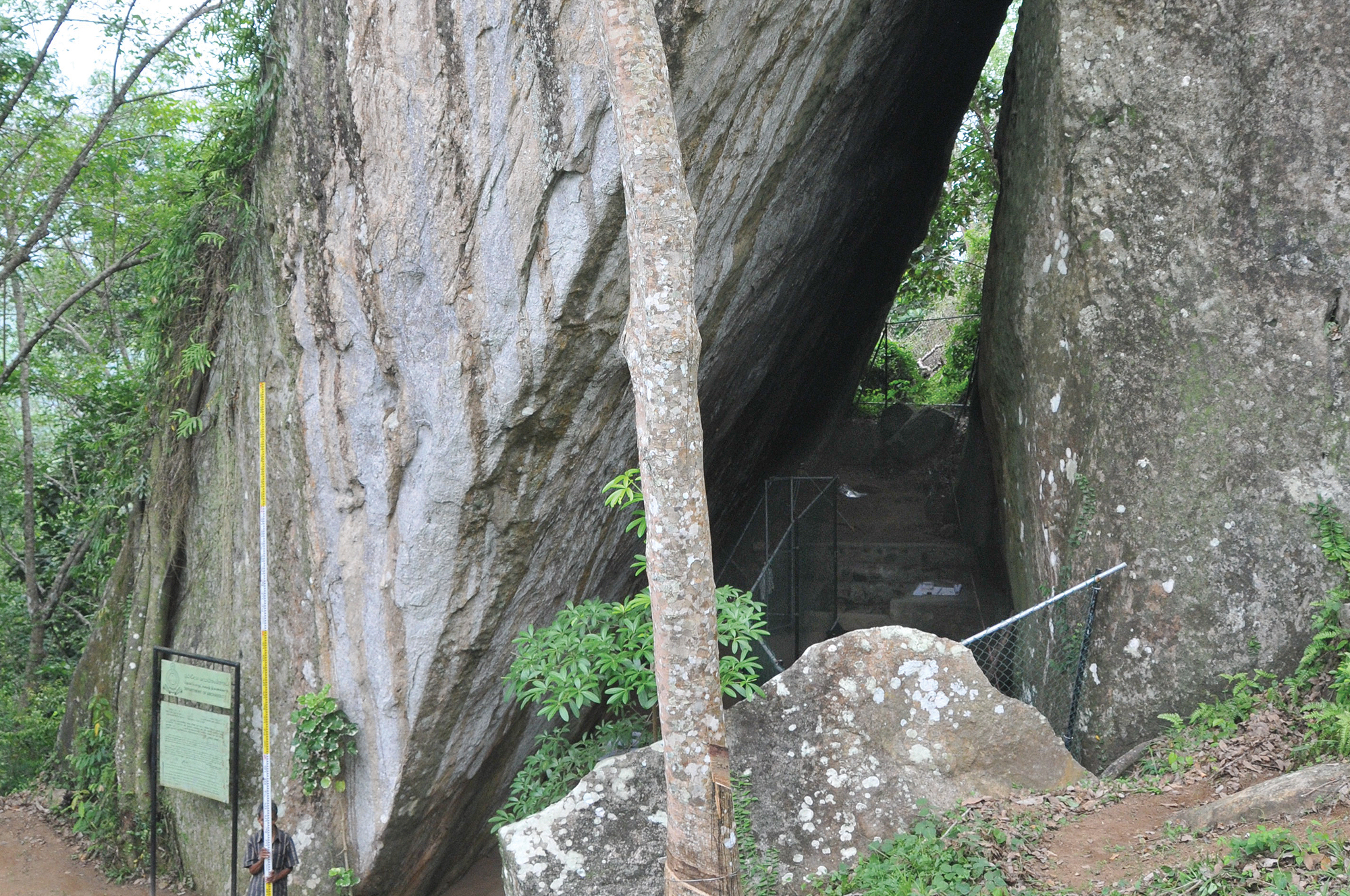 Bradshaw Foundation Dorawaka Rock Shelter Rock Art Paintings Engraving Sites Sri Lanka