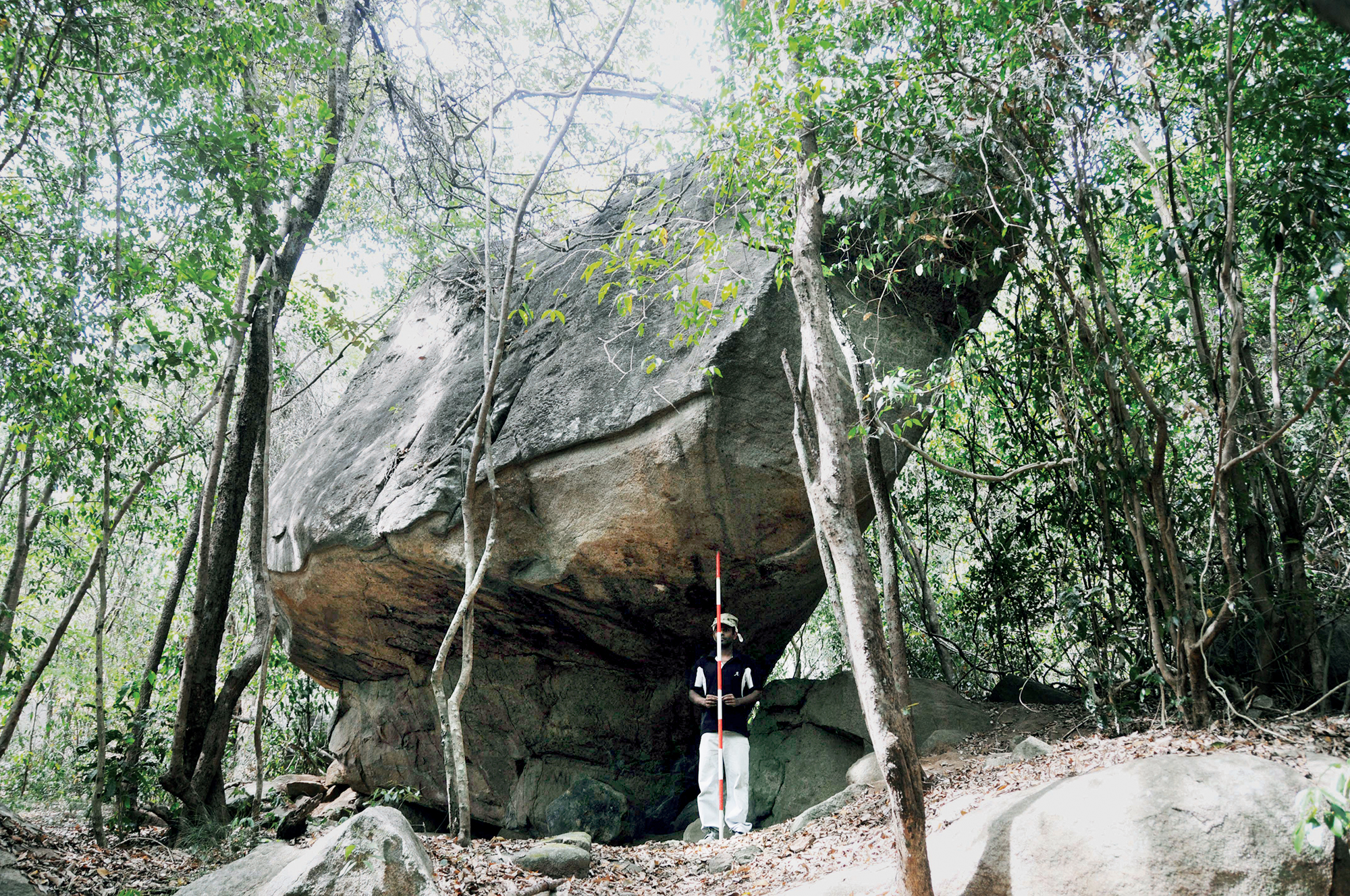 Bradshaw Foundation Rajagala Rock Shelter Rock Art Paintings Engraving Sites Sri Lanka