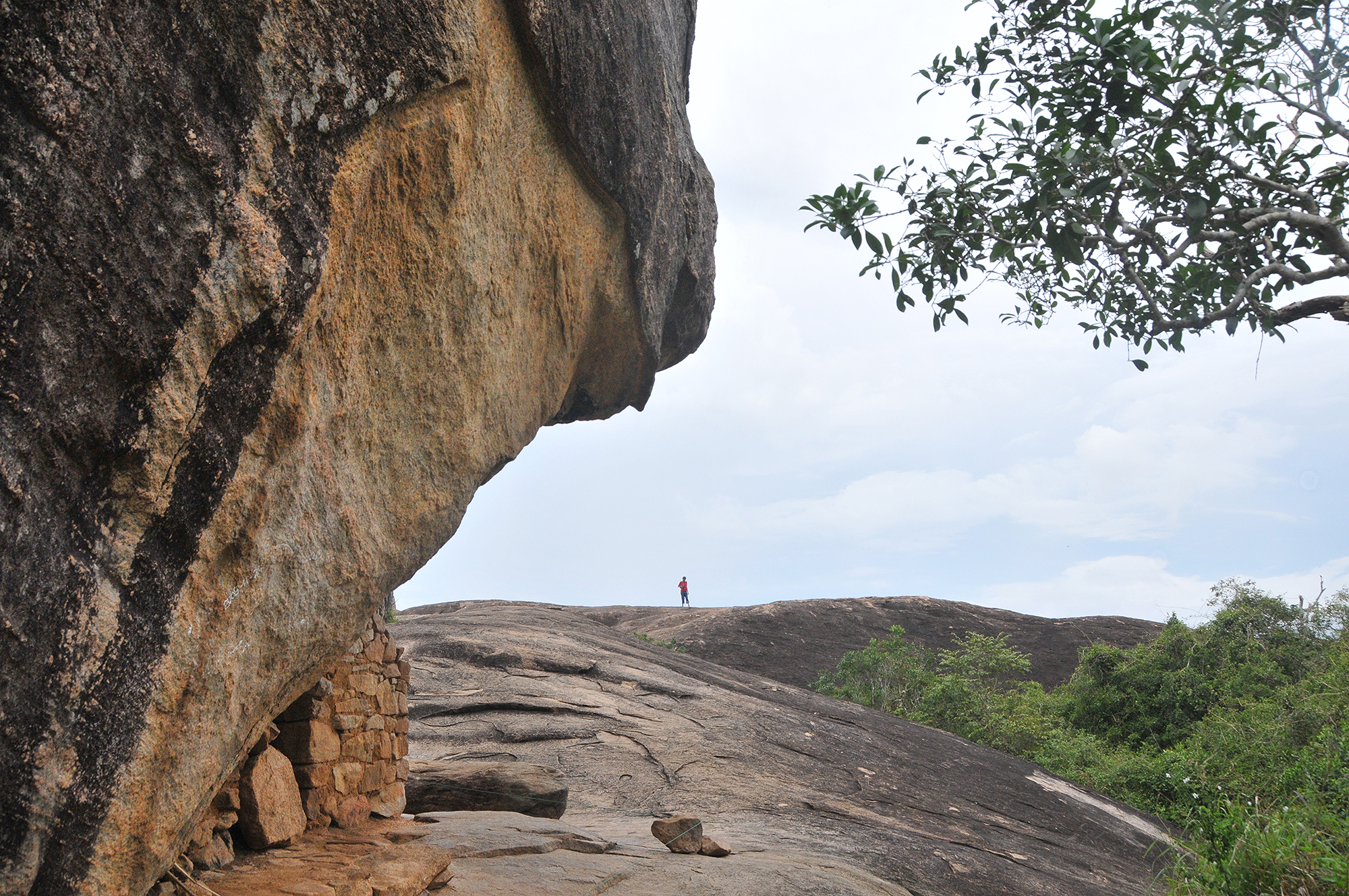 Bradshaw Foundation Thantirimale Rock Shelter Rock Art Paintings Engraving Sites Sri Lanka
