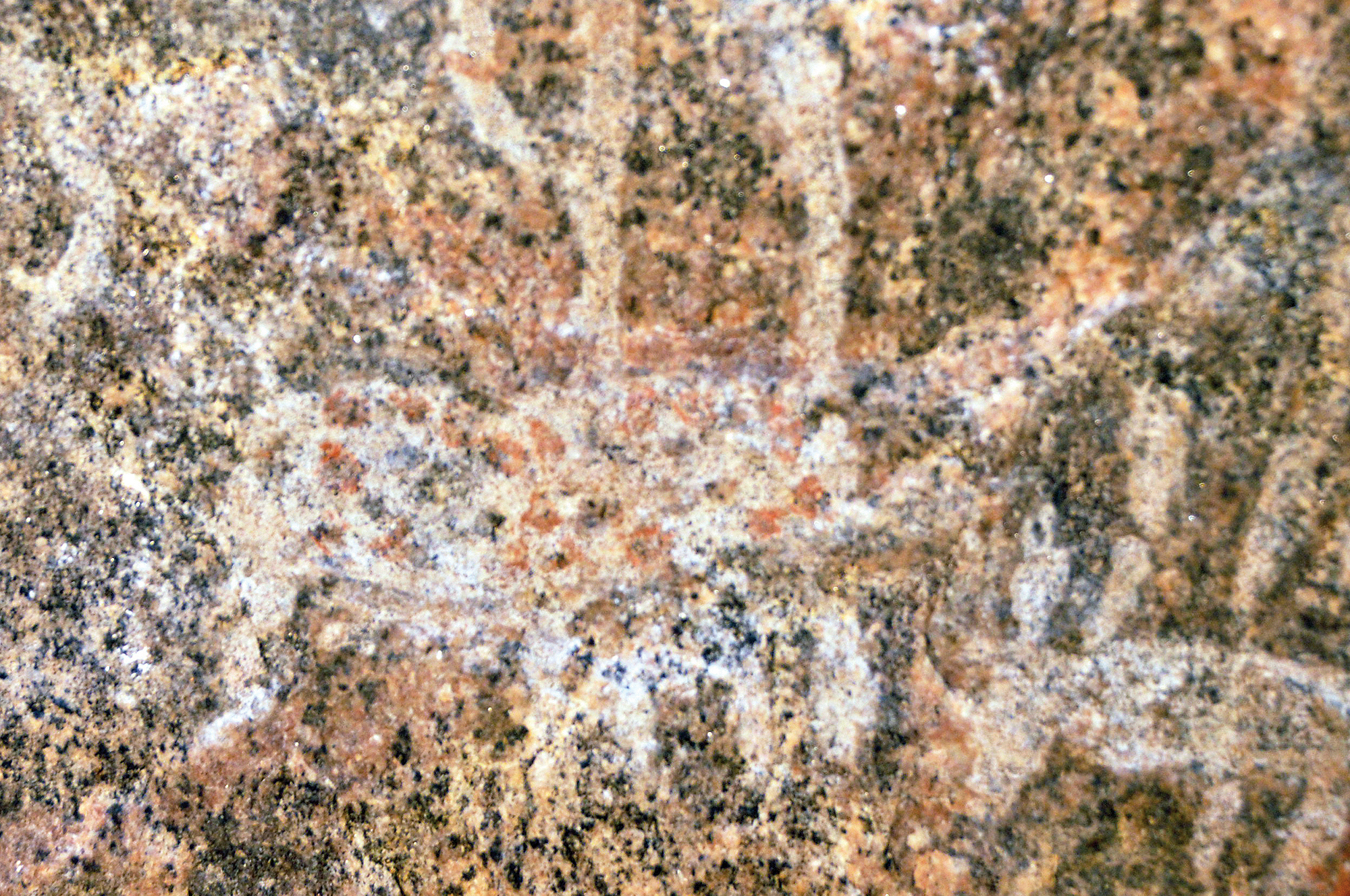 Bradshaw Foundation Thantirimale Rock Shelter Rock Art Paintings Engraving Sites Sri Lanka