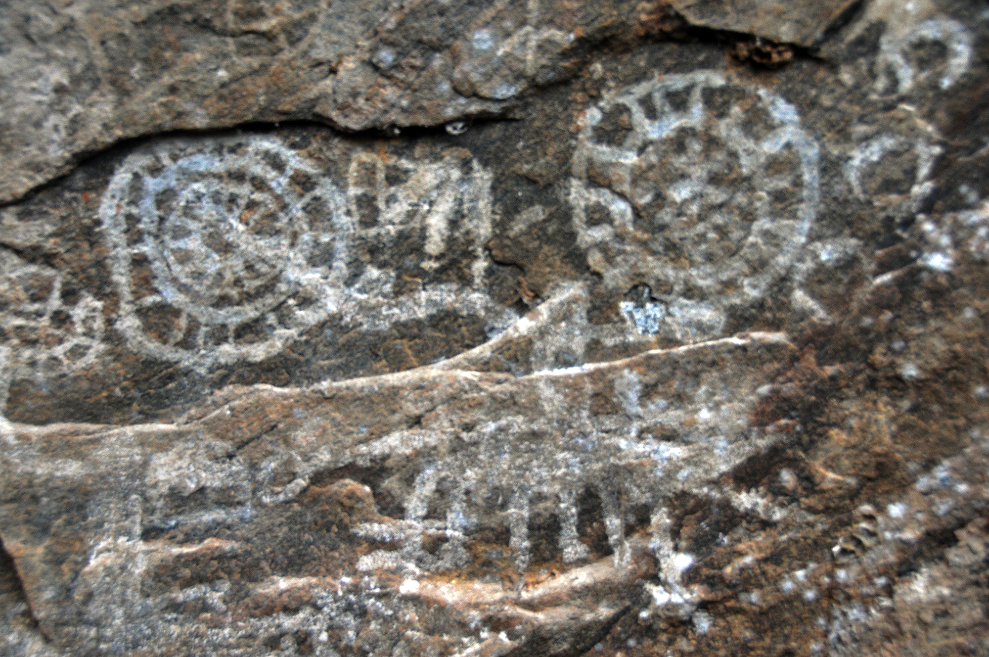 Bradshaw Foundation Wettambugala Rock Shelter Rock Art Paintings Engraving Sites Sri Lanka
