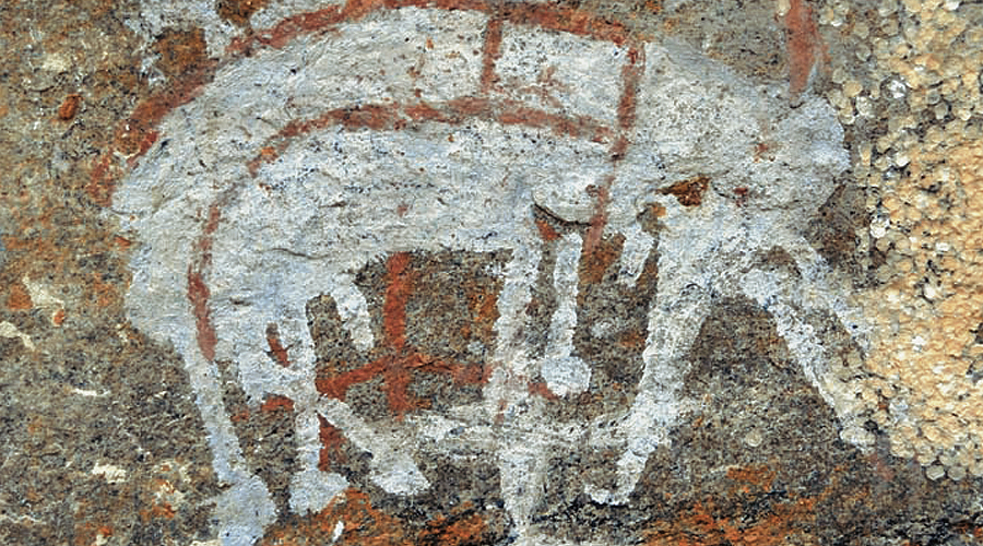 Sri Lanka Bradshaw Foundation Rock Art Paintings Engravings Archaeology