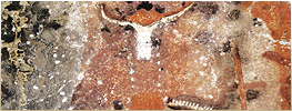 Africa African Rock Art Archive