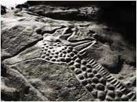 Dabous Giraffe Rock Art Carvings Niger Africa