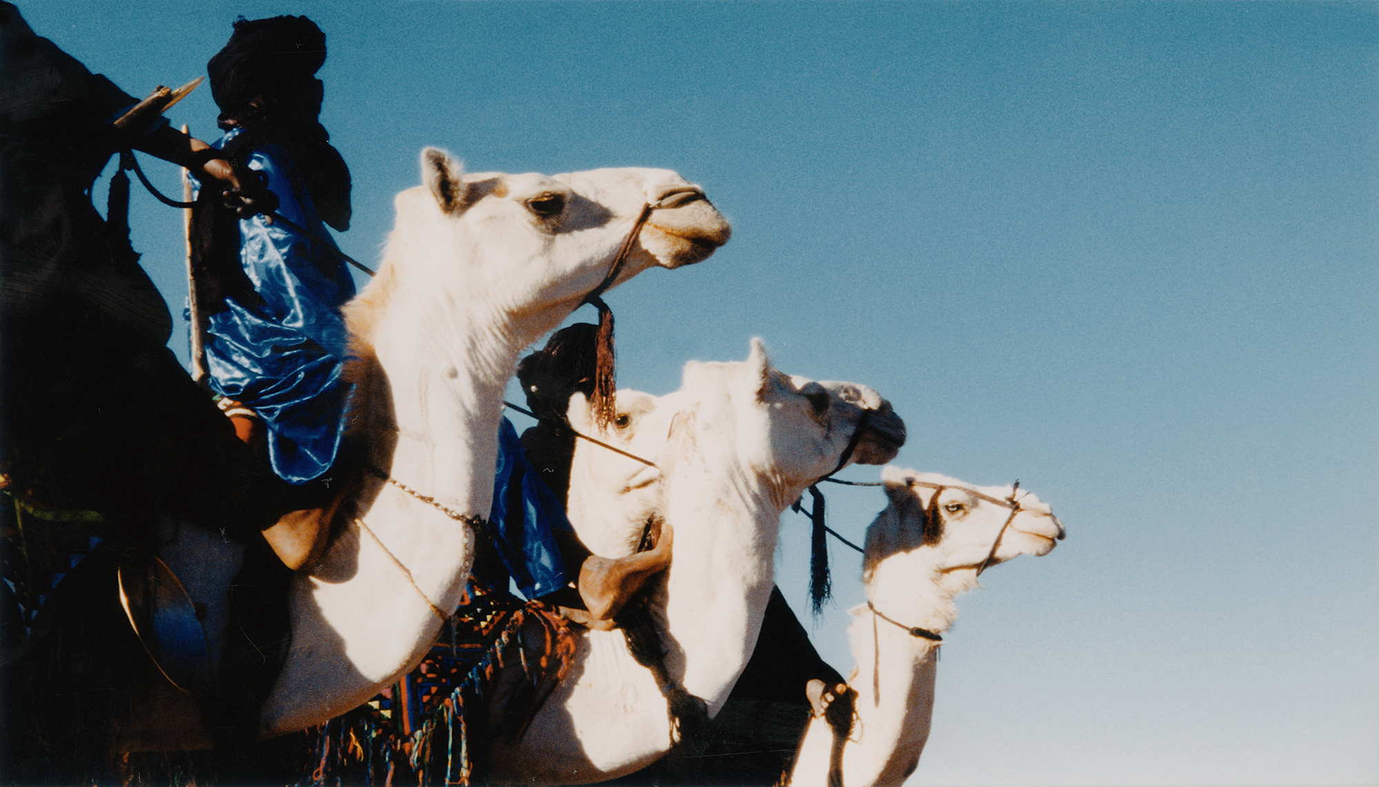 The Tuareg the Nomadic inhabitants of North Africa