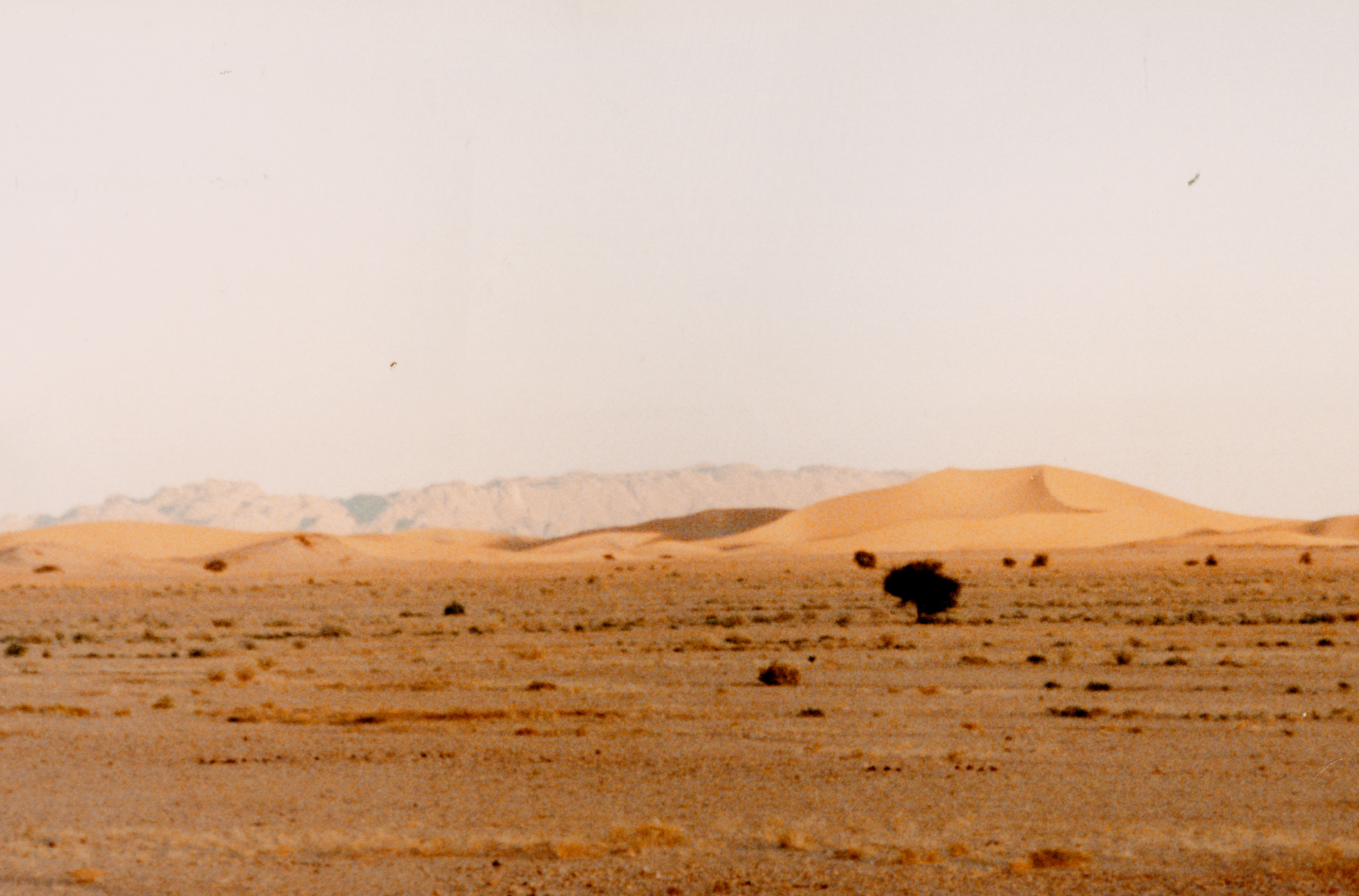 Saharan Environment Tuareg Niger Africa Bradshaw Foundation