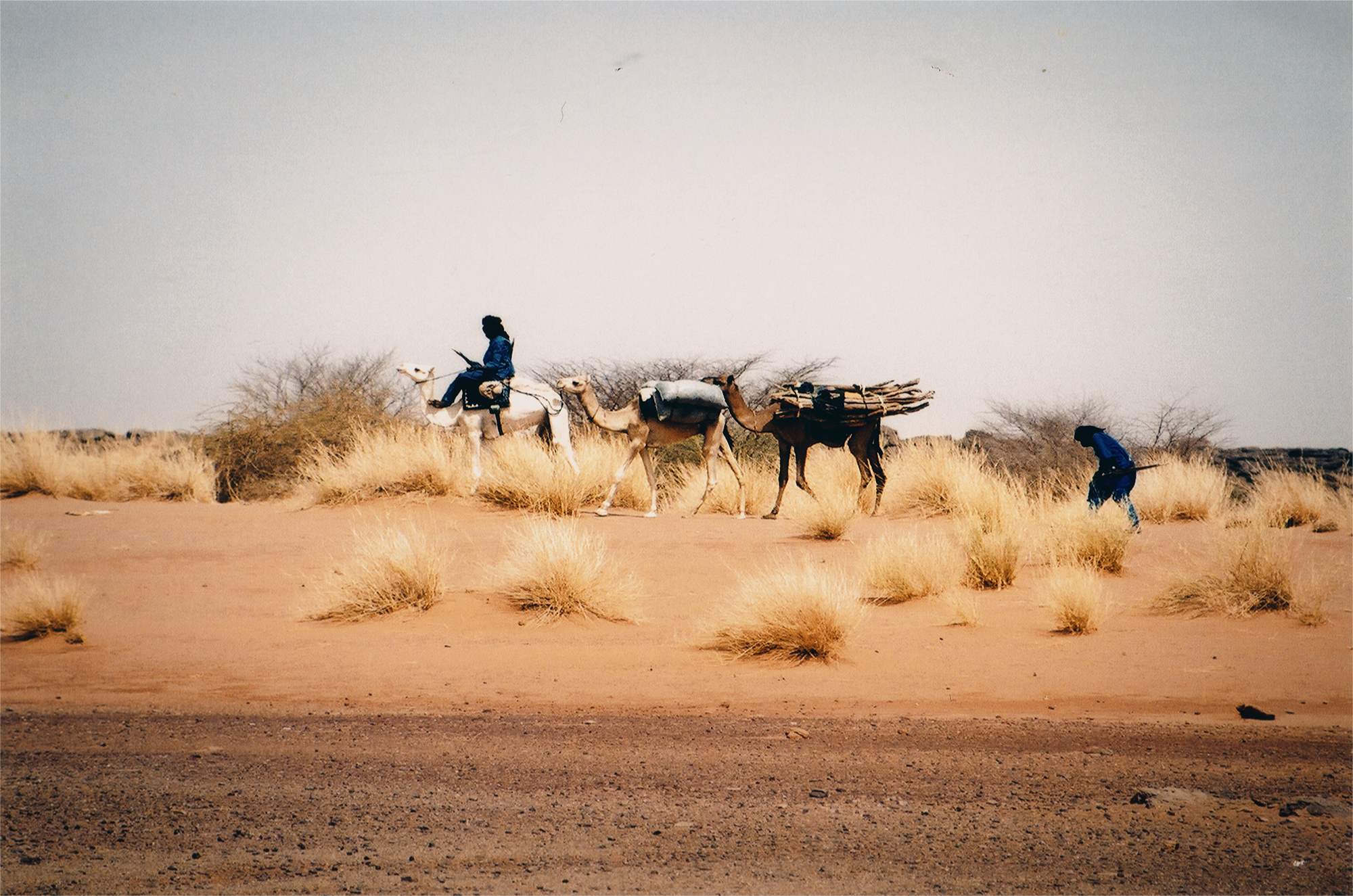 The Tuareg the Nomadic inhabitants of North Africa