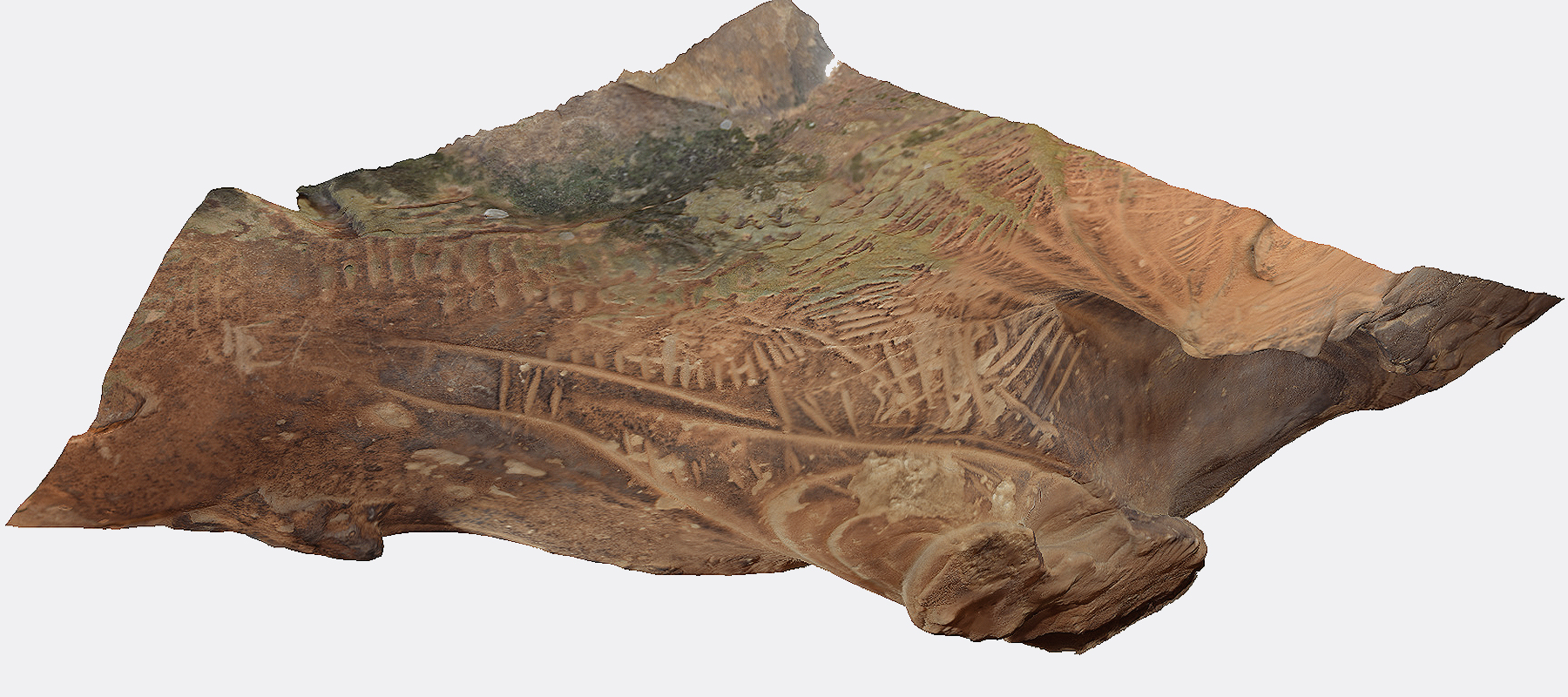 A relief ceiling of location Number 6 Kamyana Mohyla: Rock Art of Ukraine