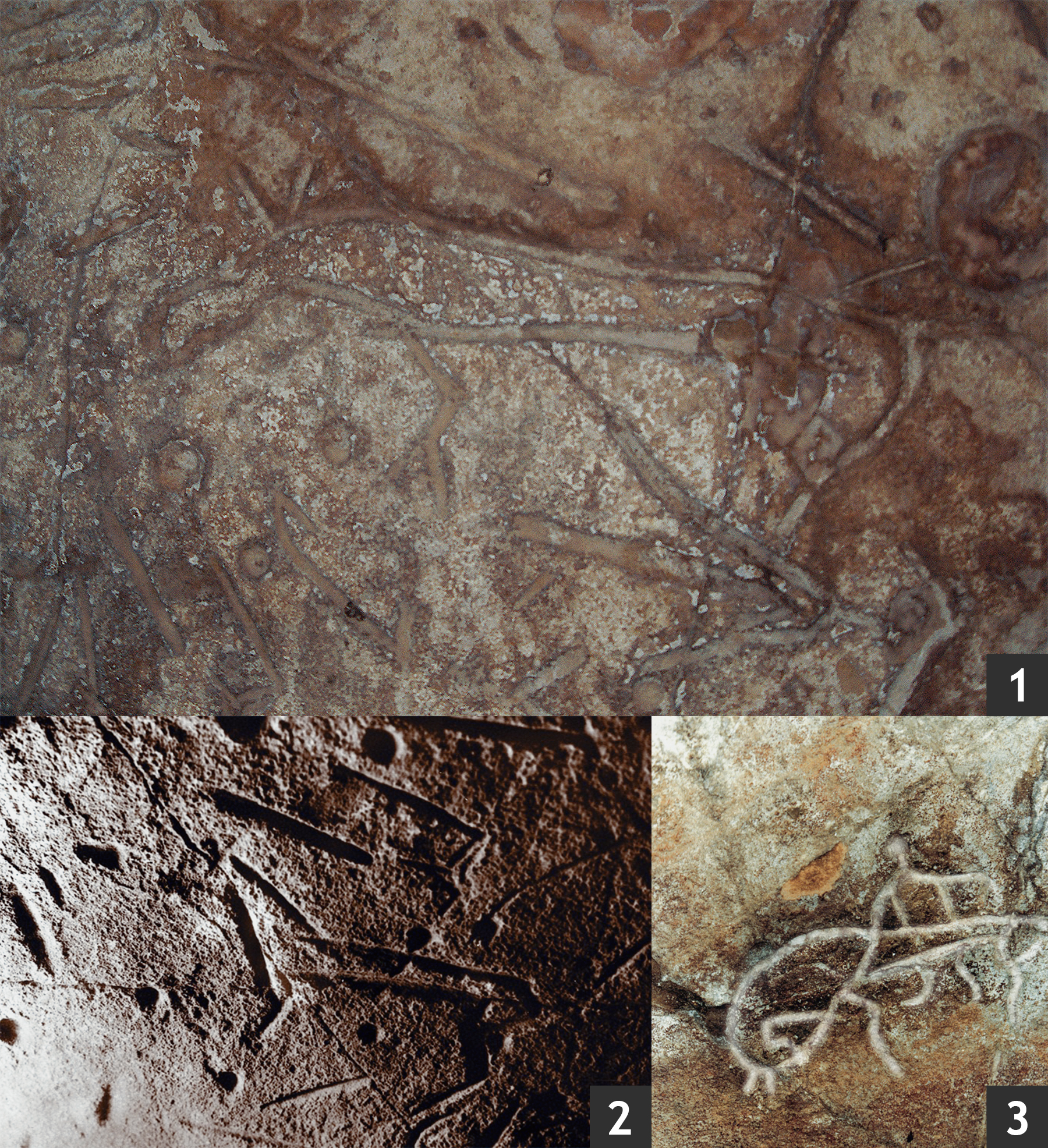 Horse images from Kamyana Mohyla, attributed to the Iron Age Kamyana Mohyla: Rock Art of Ukraine