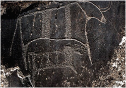 Uzbekistan Rock Art Petroglyphs